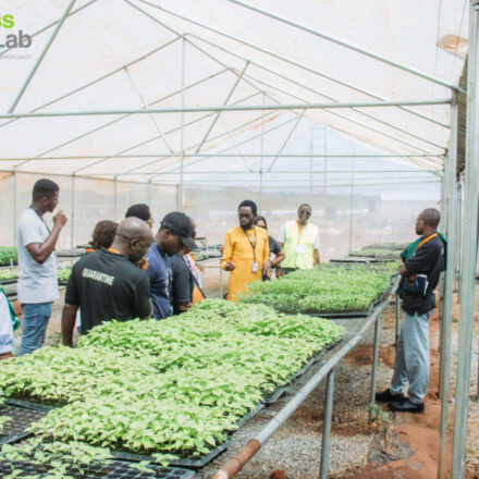 NAHCO & NAQ Visits SFarmLab
